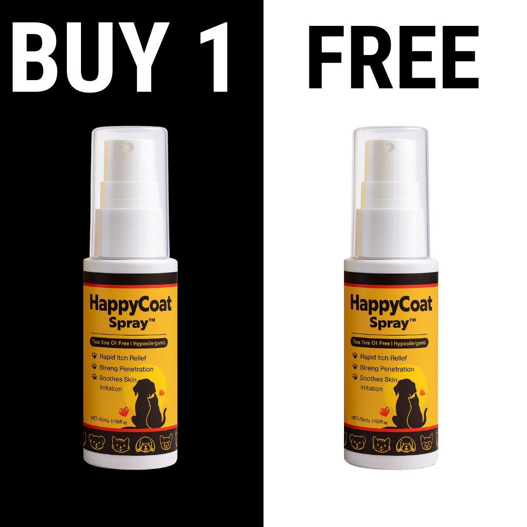 Buy 1 Get 1 FREE
