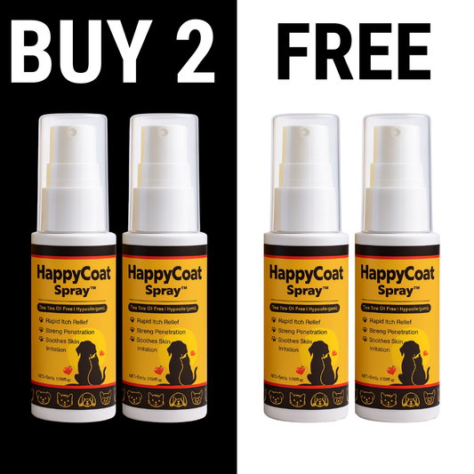 Buy 2 Get 2 FREE